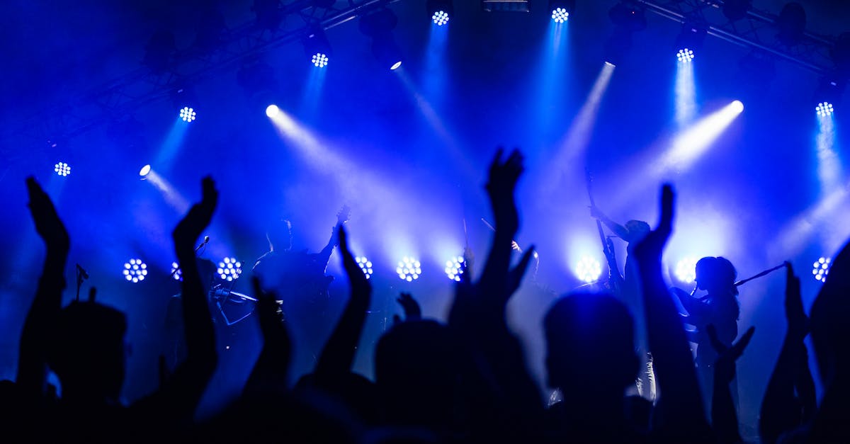 State and Local Laws Governing Adult Entertainment Venues in Brisbane